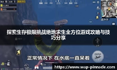 平博官网
