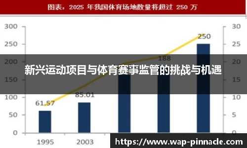 新兴运动项目与体育赛事监管的挑战与机遇